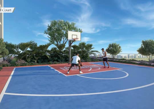 Basketball court